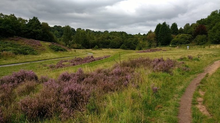 habberley valley 768x432